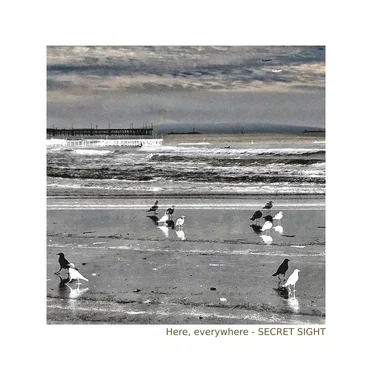 Here, everywhere by Secret Sight - album cover