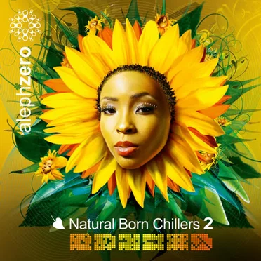Natural Born Chillers 2 by Various Artists - album cover