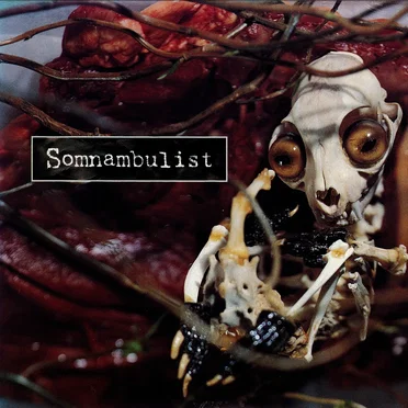 Somnambulist by Somnambulist - album cover