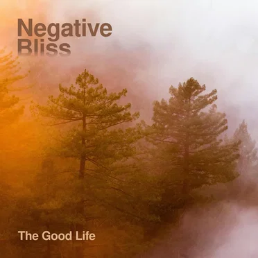The Good Life by Negative Bliss - album cover