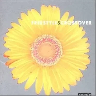 Remix Selection: Freestyle & Crossover by Various Artists - album cover