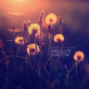 Absolute Shadow