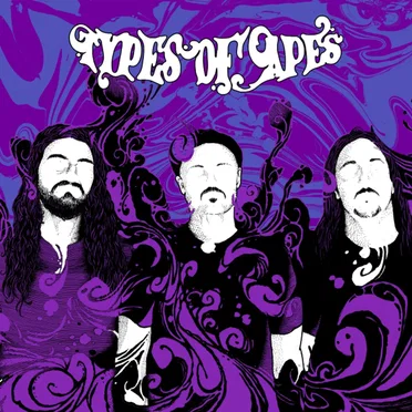 Types of Apes by Types of Apes - album cover