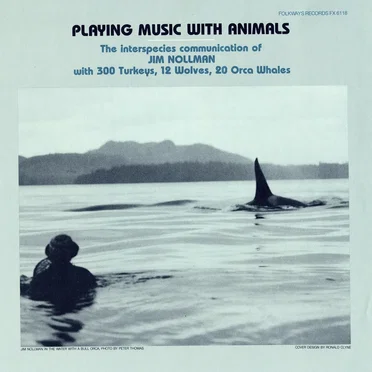 Playing Music With Animals: The Interspecies Communication of Jim Nollman With 300 Turkeys, 12 Wolves, 20 Orca Whales
