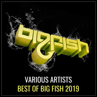 Best of Big Fish 2019 by Various Artists - album cover