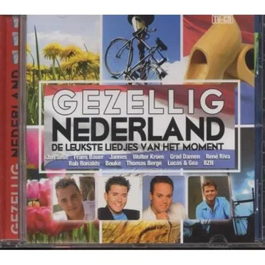 Gezellig Nederland: De leukste liedjes van het moment by Various Artists - album cover