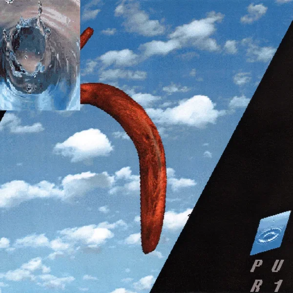 PUR 1