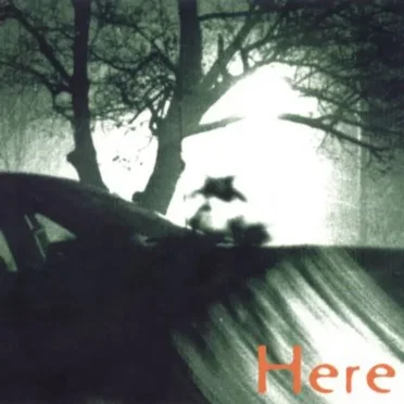 Here: A Fort Hazel Magic Compilation by Various Artists - album cover