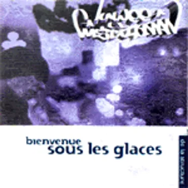 Bienvenue sous les glaces