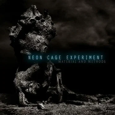 Neon Cage Experiment