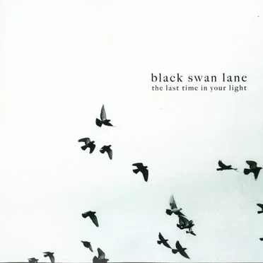 The Last Time in Your Light by Black Swan Lane - album cover