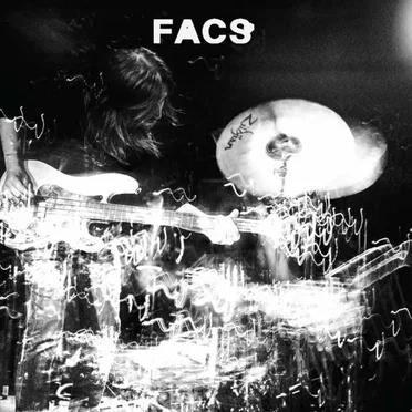 North America Endless by FACS - album cover