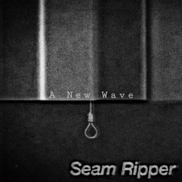 A New Wave by Seam Ripper - album cover