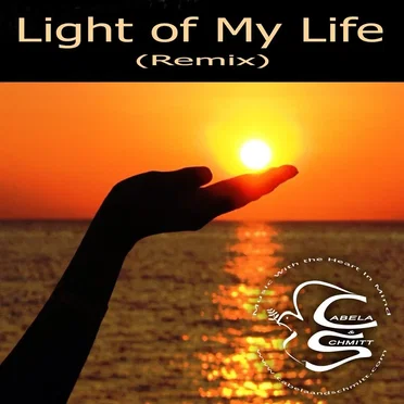 Light of My Life (remix)