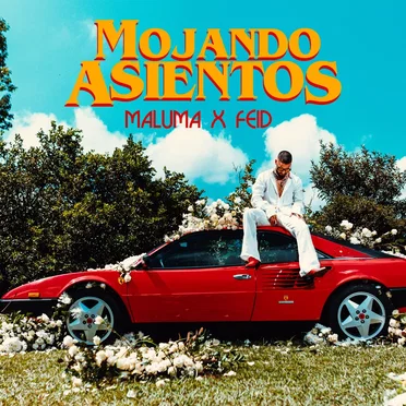 Mojando asientos