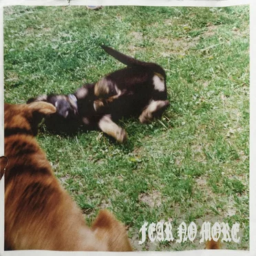 FEAR NO MORE by Boanthropy - album cover