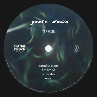 Terroir by Goose Down - album cover