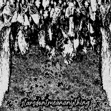starsdontmeananything by starsdontmeananything - album cover
