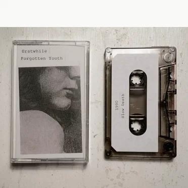 Forgotten Youth by Erstwhile - album cover