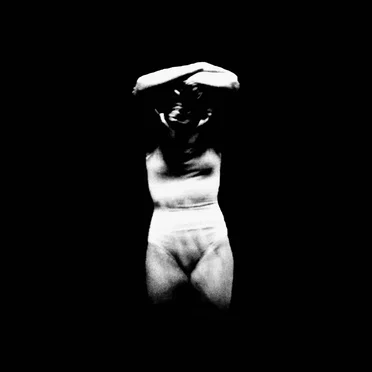 Skin by Recent Arts - album cover