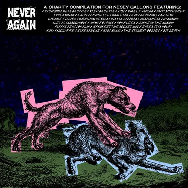 NEVER AGAIN (Songs for Nesey Gallons)