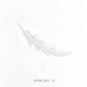 완벽한 흉터. 13