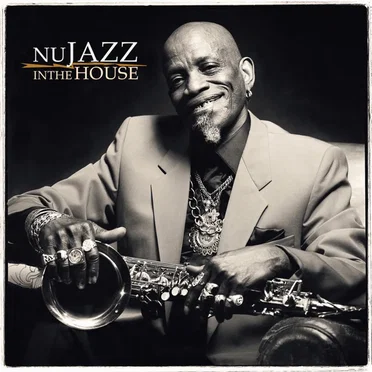 Nu Jazz in the House by Various Artists - album cover
