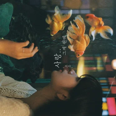 사랑.. 그게 뭔데