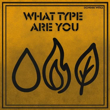 What Type Are You by Dominik Witka - album cover