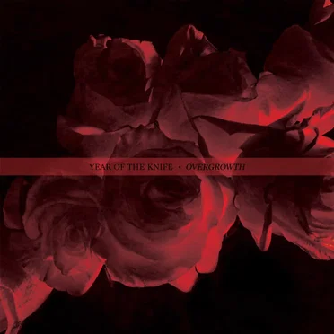 Overgrowth by Year of the Knife - album cover