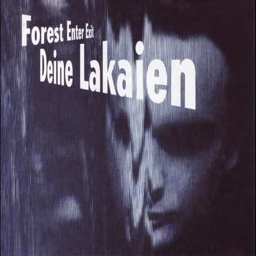 Forest Enter Exit