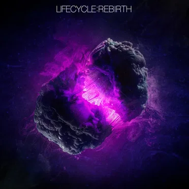 Lifecycle: Rebirth by Various Artists - album cover