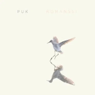 Romanssi by Puk - album cover