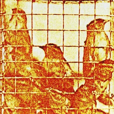 Migraine Inducers / Antagonistic Music (Complete Versions)