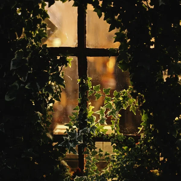 De lamentatione Jeremiae prophetae a 5 (Reinterpreted)