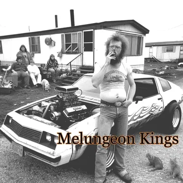 Missing Link (Rock n Roll) by Melungeon Kings - album cover