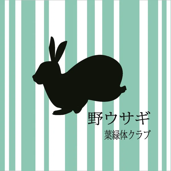 野ウサギ