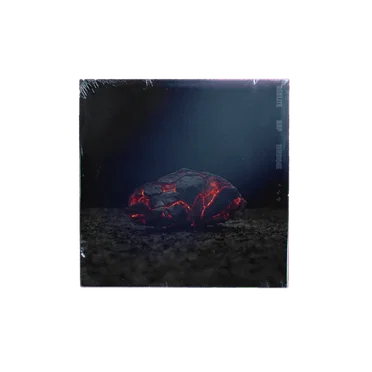 Réalité Rap Musique