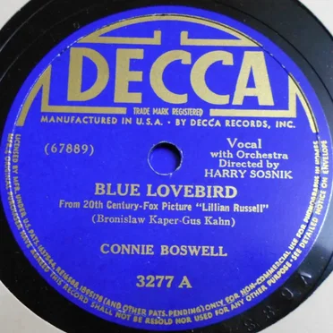 Blue Lovebird / Orchids for Remembrance