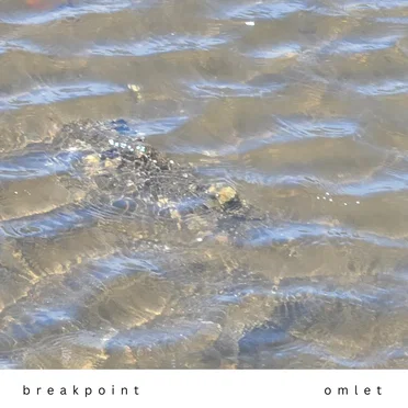 breakpoint