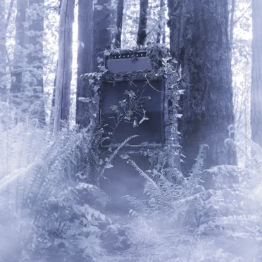 Young Hunter by Young Hunter - album cover