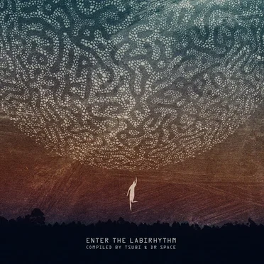 Enter The Labirhythm by Various Artists - album cover