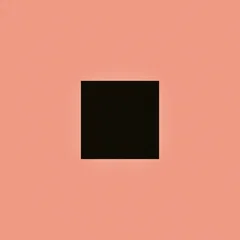 Bon Iver