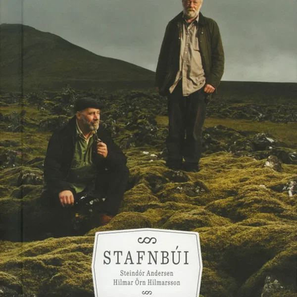 Stafnbúi