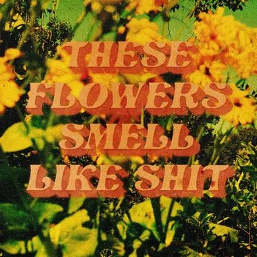 STINKY POLLEN by Kilroywash3r3 - album cover