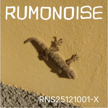 RNS25121001-X