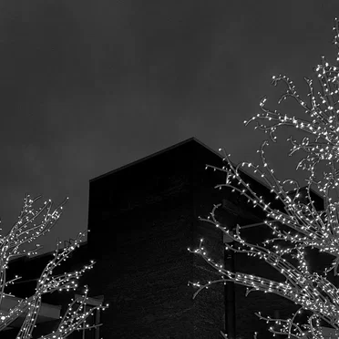 Forgotten Seasons Greetings