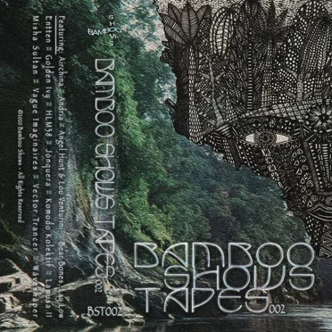 Bamboo Shows Tapes 002 by Various Artists - album cover