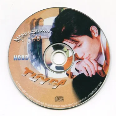 Túy ca by Mạnh Quỳnh - album cover