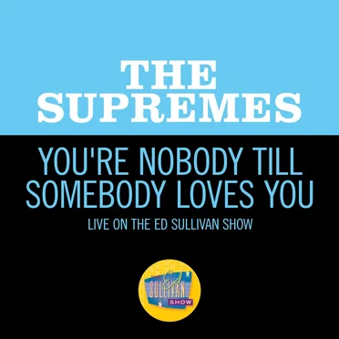 You’re Nobody Till Somebody Loves You (live on the Ed Sullivan Show, October 10, 1965)
